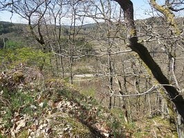 baladepique-nique2017dbut23