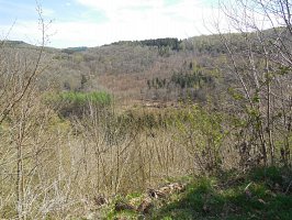 baladepique-nique2017dbut38