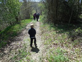 baladepique-nique2017dbut39