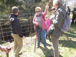 baladepique-nique2017dbut45