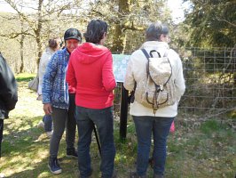 baladepique-nique2017dbut47