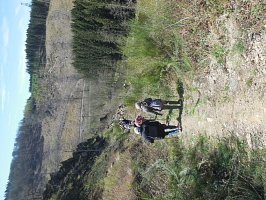 baladepique-nique2017dbut53