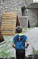 20431366_796143487226186_4493285578026937260_n