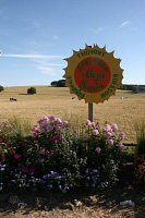 fleursjuillet2018007