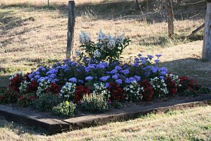 fleursjuillet2018032