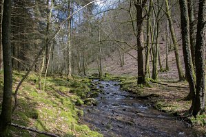 10042016-samre-2937-1