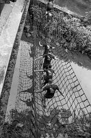 19701968_1917716475183395_4057244765493899148_n